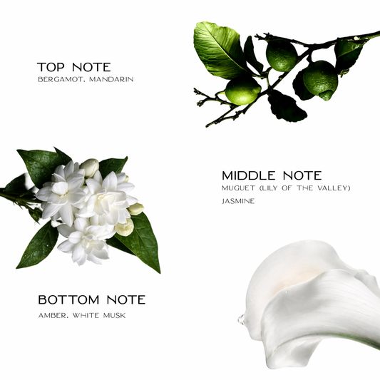 White Musk Eau De Parfum For Men 50ML