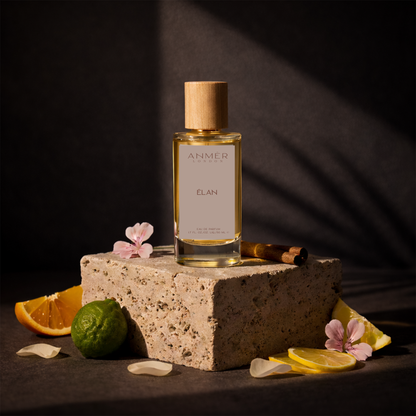 Èlan Eau De Parfum For Men 50ML