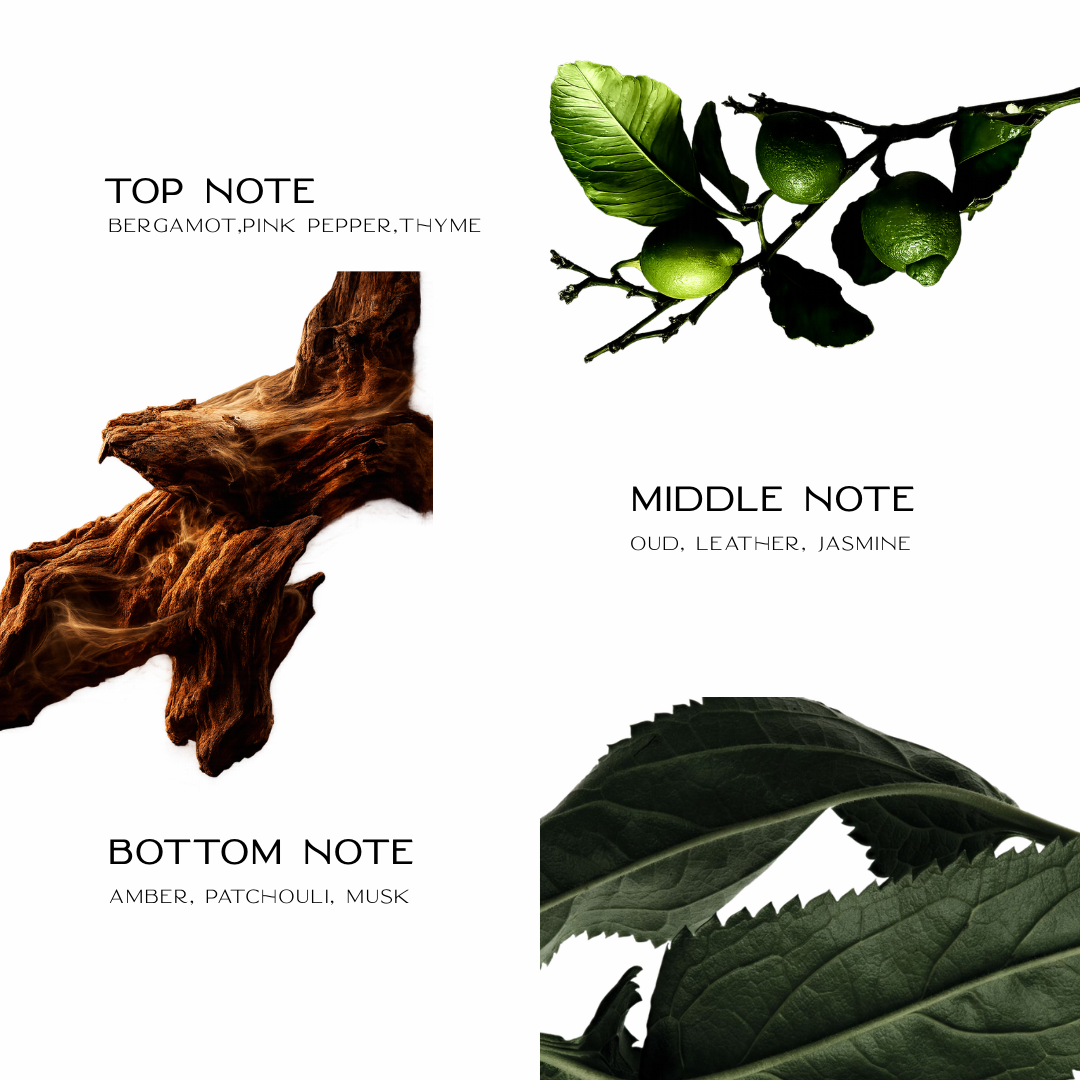 Midnight Tonic Eau De Parfum For Women 50ML