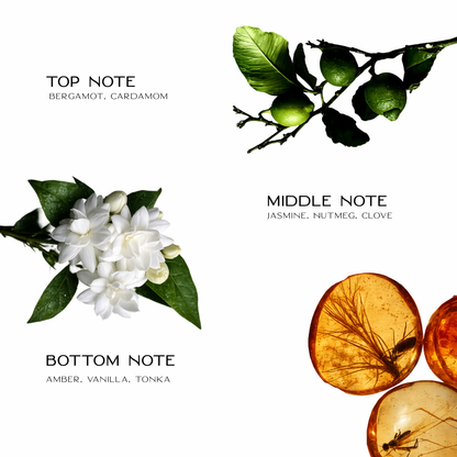 Velvet Bar Eau De Parfum For Women 50ML